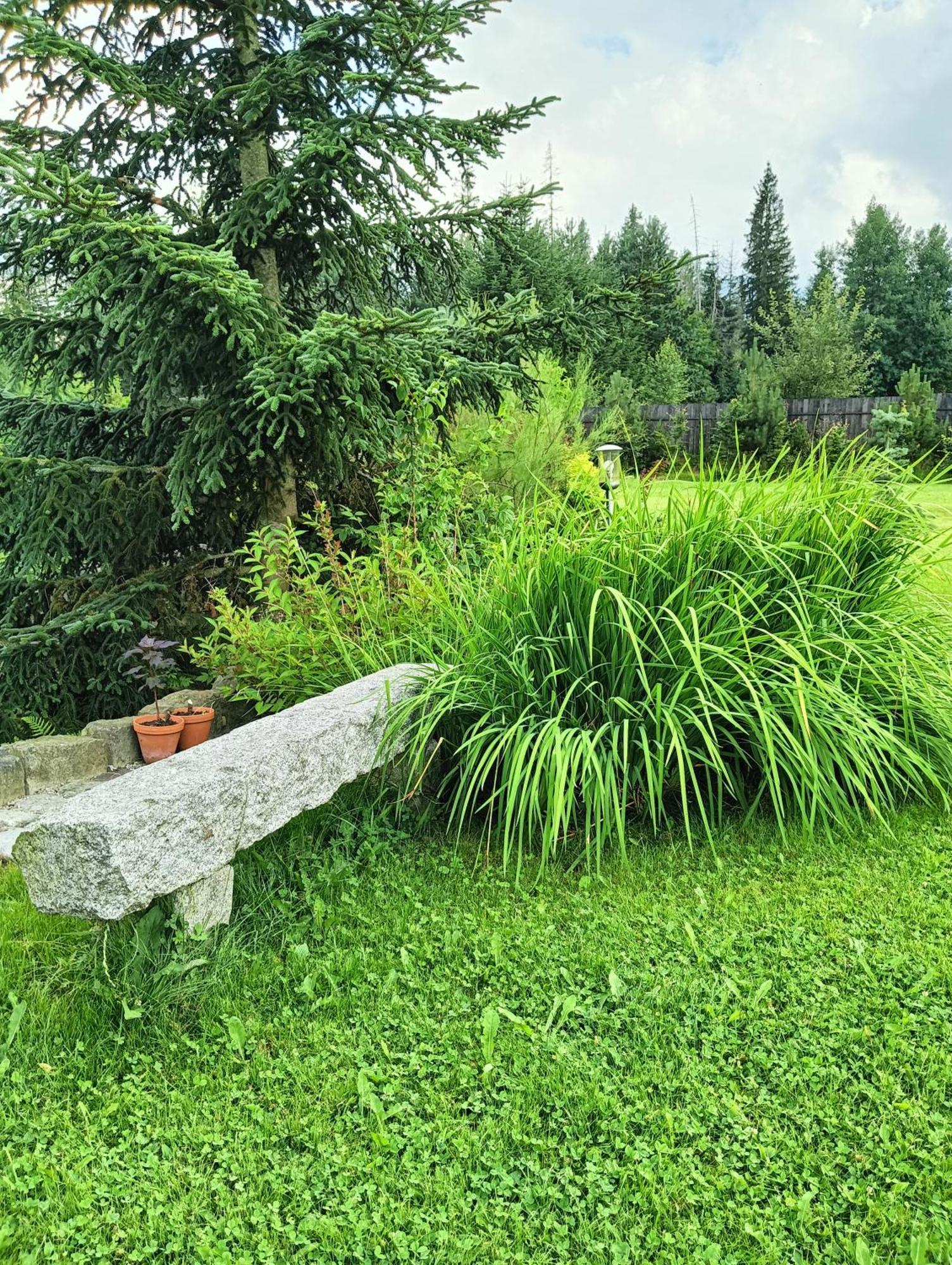 Nad Stawem * Zakopane